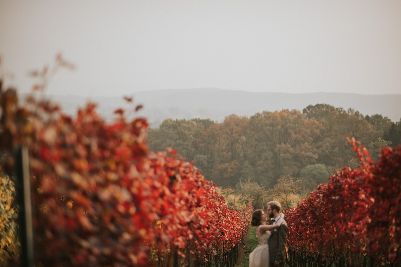 Sesja ślubna Aga i Maciek