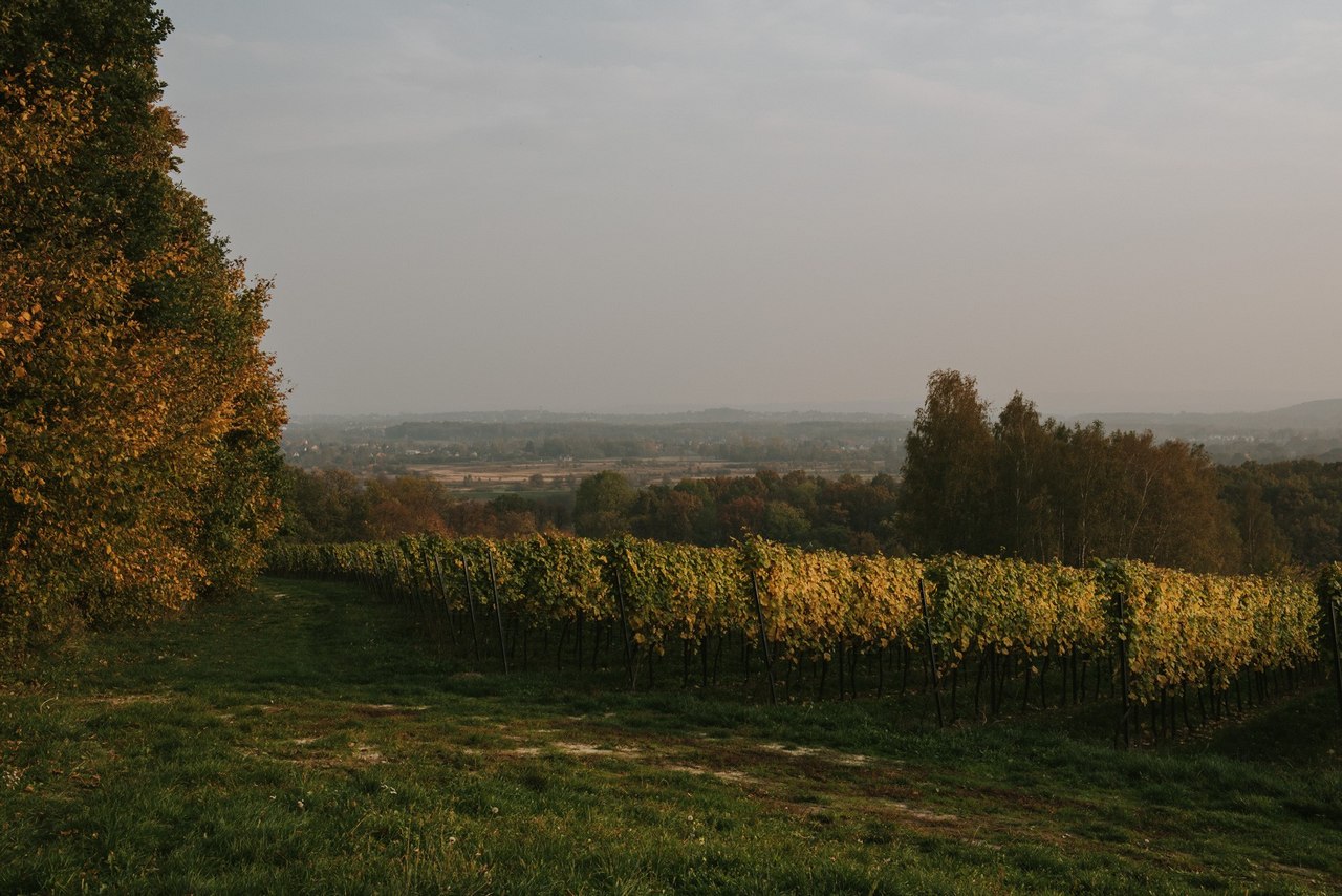 Sesja ślubna Aga i Maciek