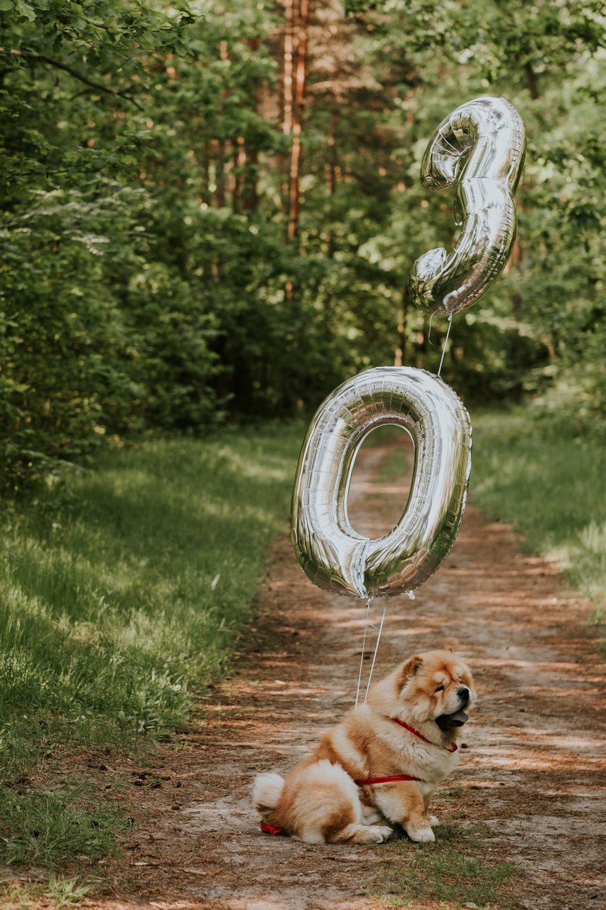 Sesja ciążowa Paulina