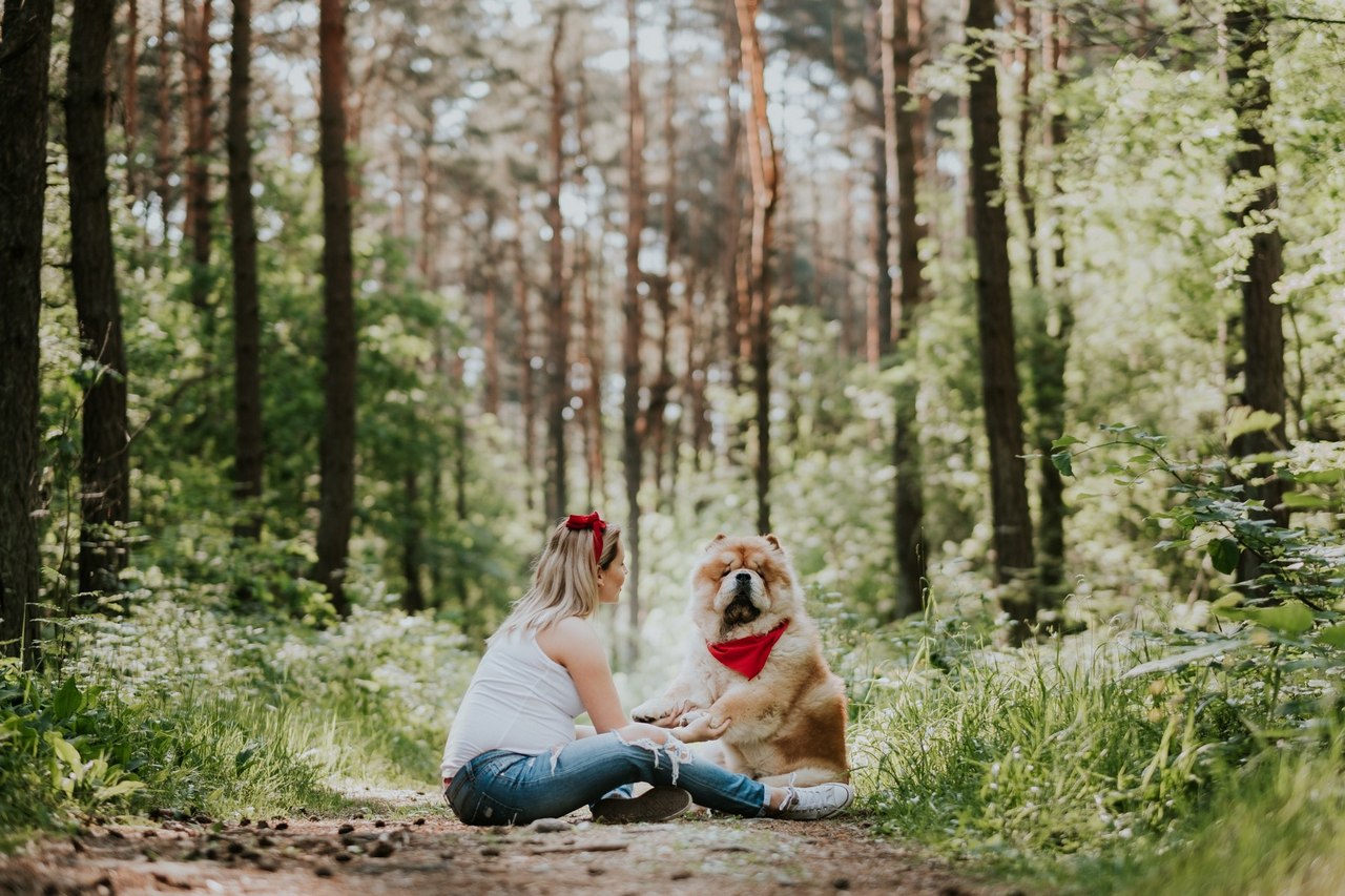 Sesja ciążowa Paulina