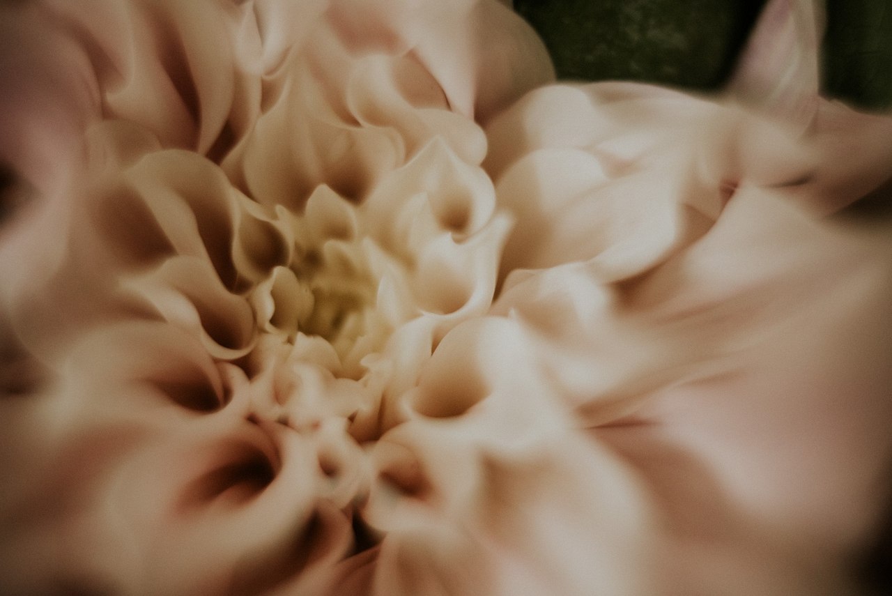 Sesja ślubna Marta i Sebastian