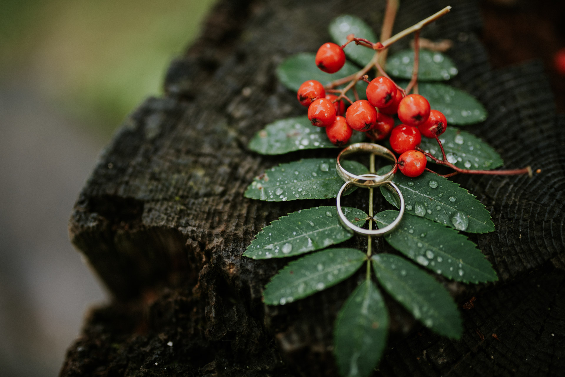 Sesja ślubna Kamila i Mateusz