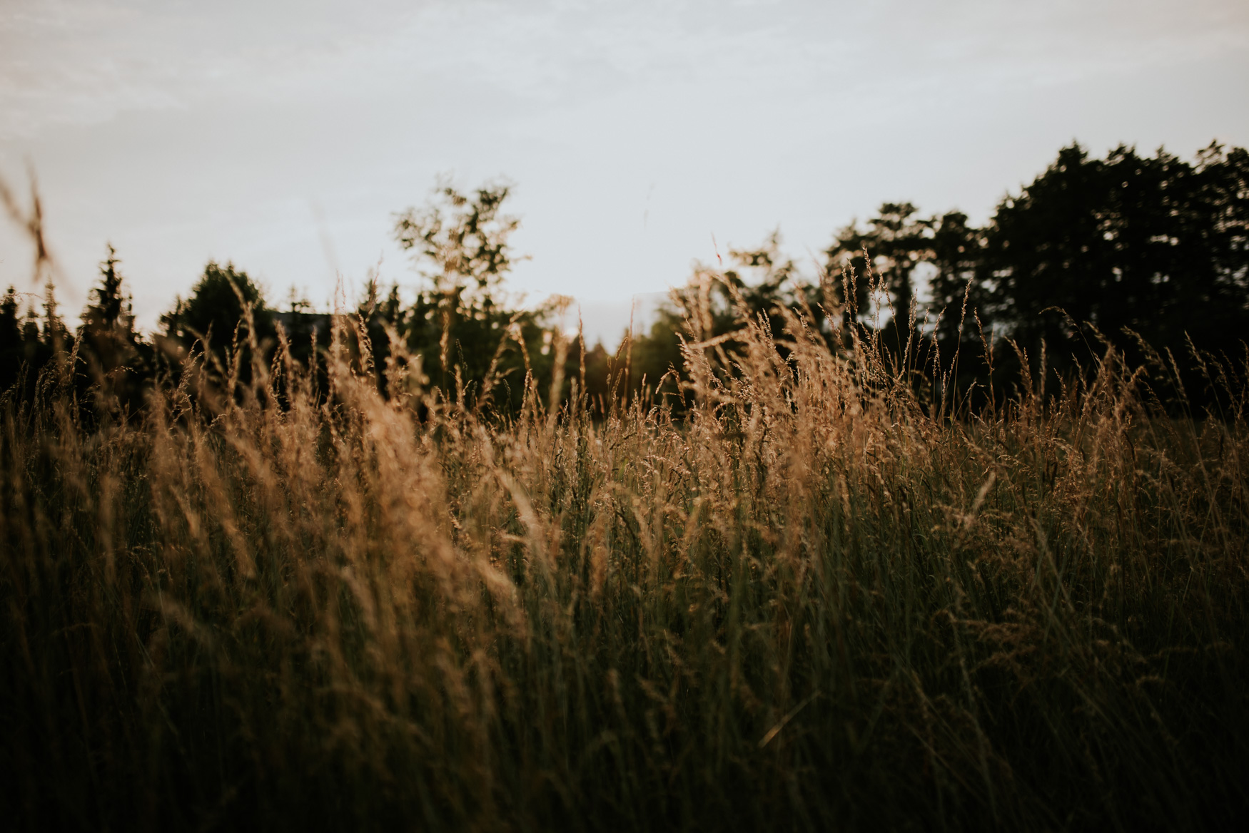 Sesja ślubna Julita i Mariusz