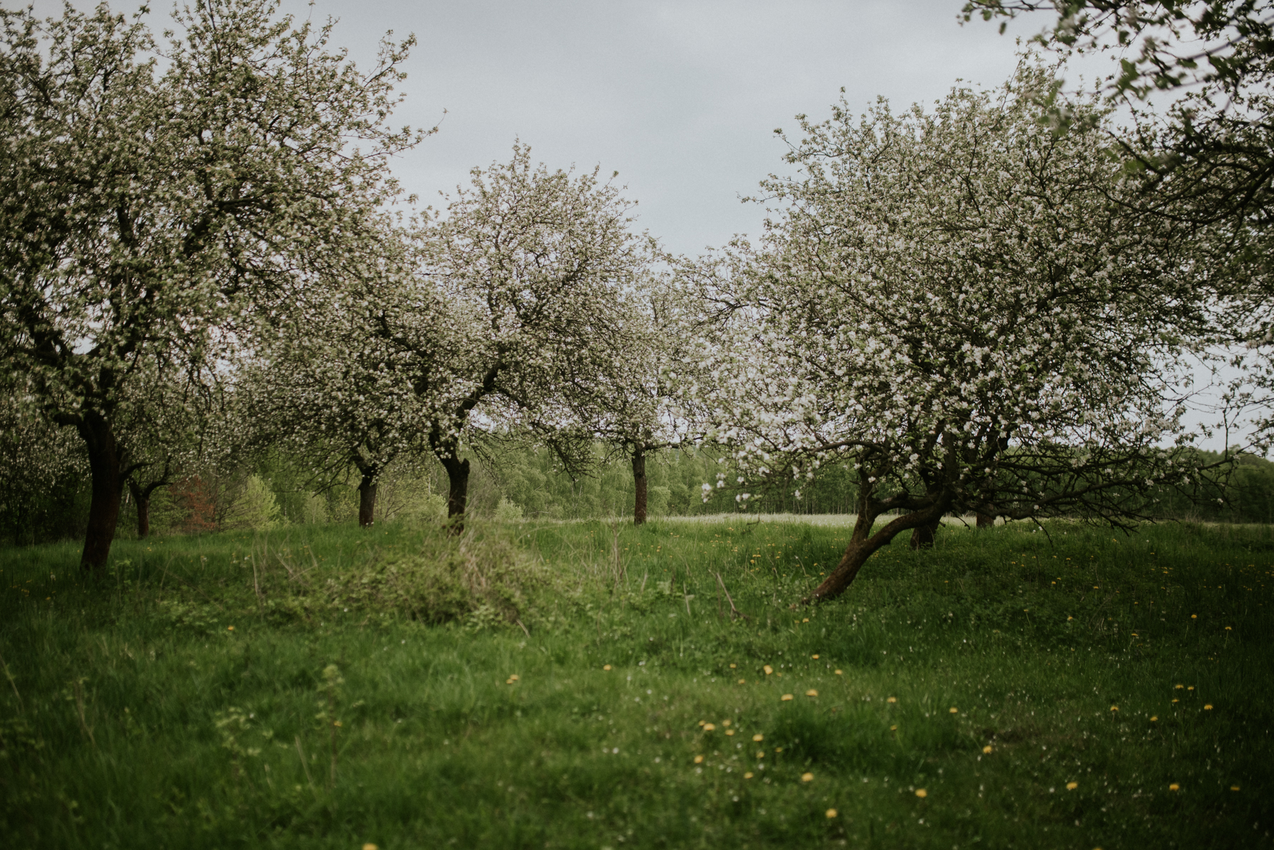 Sesja dziecięca Wiktoria